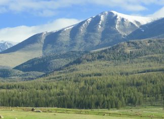 Qualità Ambiente Fluviale, l’App per le buone pratiche su fiumi e laghi