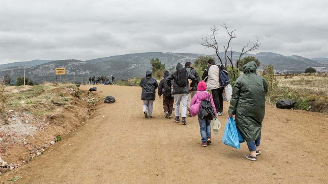 iStock-491578030 Immagine