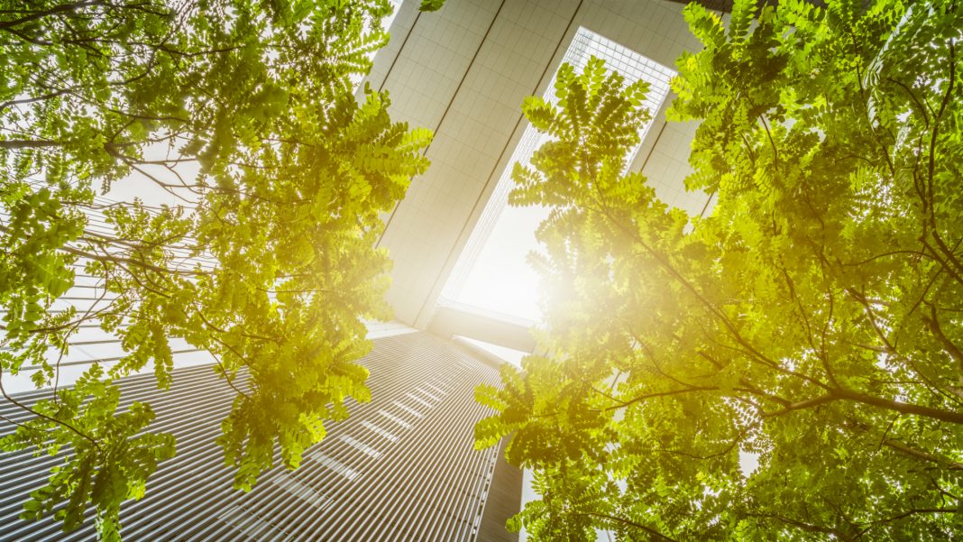 iStock-626394534 Immagine