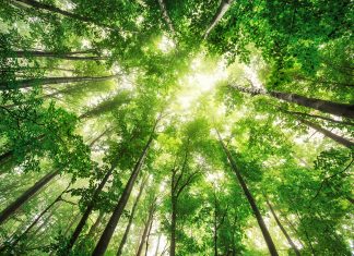 Il Data Center del CSI è sempre più green Immagine