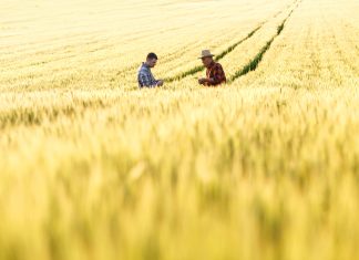 Agricoltura in Croazia, chiuso con successo il progetto EuropeAid Immagine