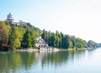 Il verde pubblico della Città di Torino oggi si gestisce dal web, con Albera.To Immagine