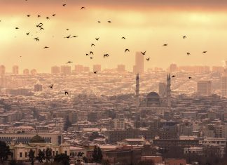 Il CSI per la trasparenza finanziaria, con il “Twinning Turchia” Immagine